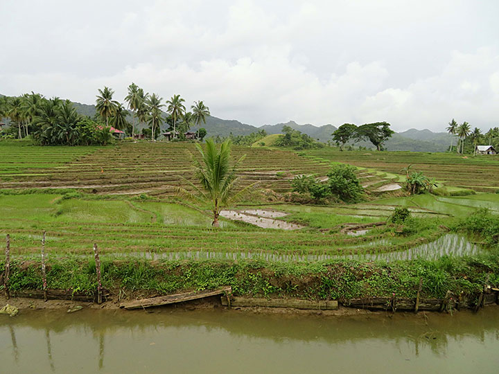 Cadapdapan Rice Terraces