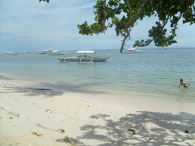 Boats at Alona Beach