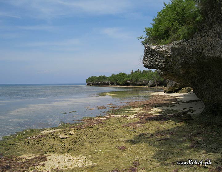 Pamilacan island