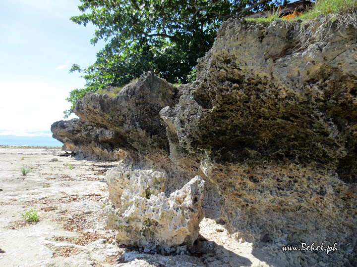 Punta Cruz