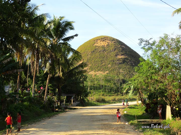 Chocolate Hills