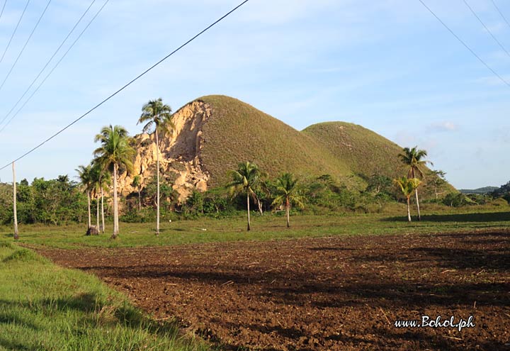 Chocolate Hills