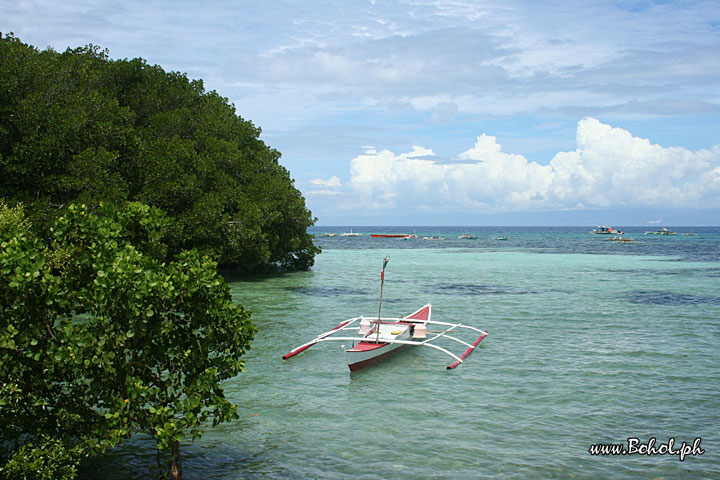 Loon sea view