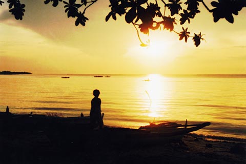 Vivid Lights on Anda Beach